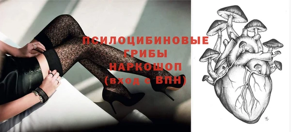 дживик Алексин