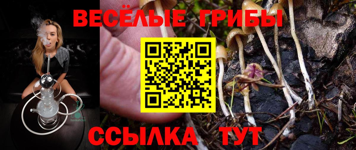 Псилоцибиновые грибы ЛСД  Псилоцибиновые грибы Magic Shrooms  Апатиты  Вход с VPN 