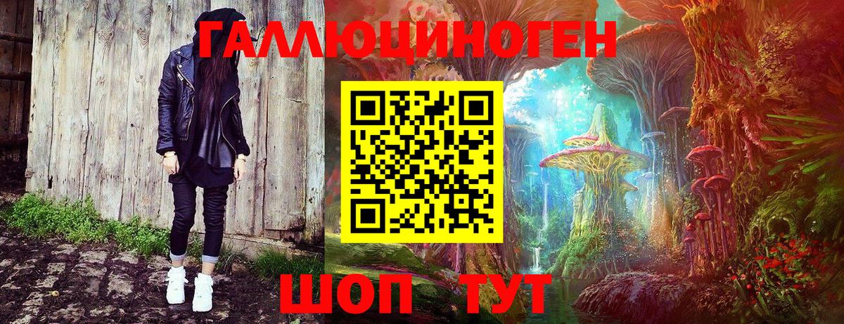 Галлюциногенные грибы Psilocybine cubensis Апатиты