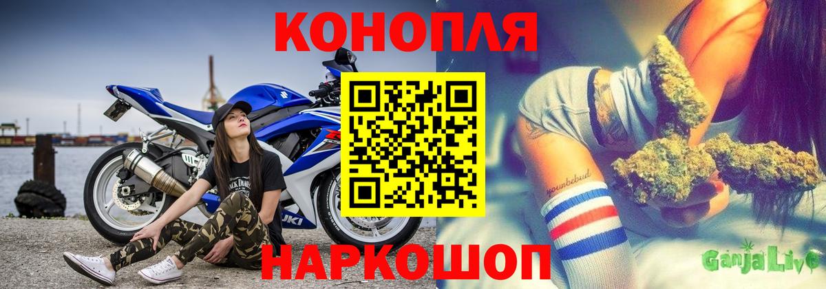 Апатиты  Каннабис OG Kush  Вход с VPN  Канабис сатива 
